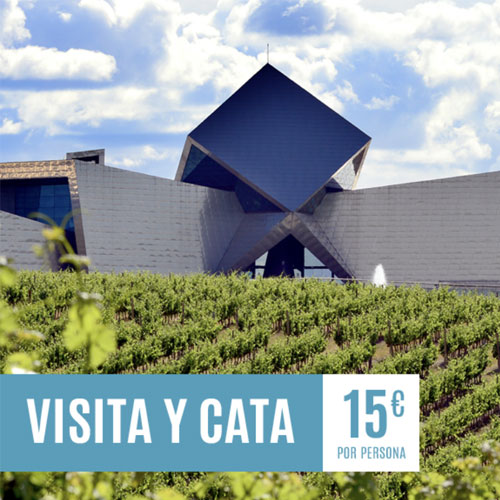 vinicola-espanha-visita